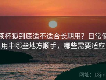 茶杯狐到底适不适合长期用？日常使用中哪些地方顺手，哪些需要适应