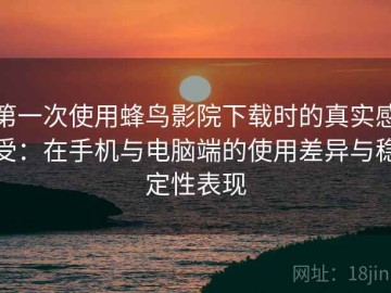 第一次使用蜂鸟影院下载时的真实感受：在手机与电脑端的使用差异与稳定性表现