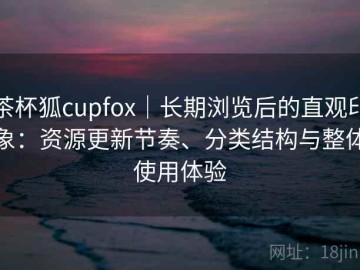 茶杯狐cupfox｜长期浏览后的直观印象：资源更新节奏、分类结构与整体使用体验