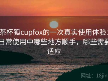 茶杯狐cupfox的一次真实使用体验：日常使用中哪些地方顺手，哪些需要适应