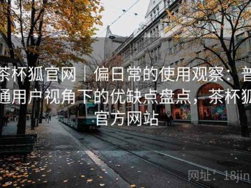 茶杯狐官网｜偏日常的使用观察：普通用户视角下的优缺点盘点，茶杯狐官方网站