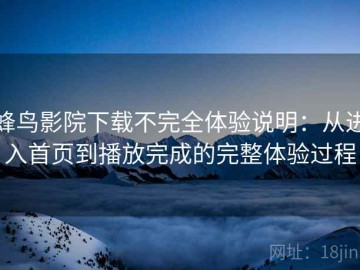 蜂鸟影院下载不完全体验说明：从进入首页到播放完成的完整体验过程