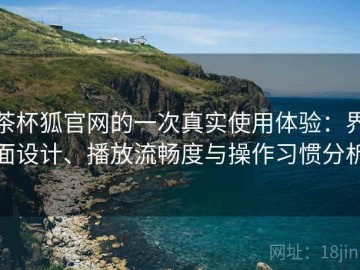 茶杯狐官网的一次真实使用体验：界面设计、播放流畅度与操作习惯分析