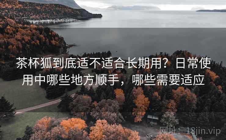 茶杯狐到底适不适合长期用？日常使用中哪些地方顺手，哪些需要适应